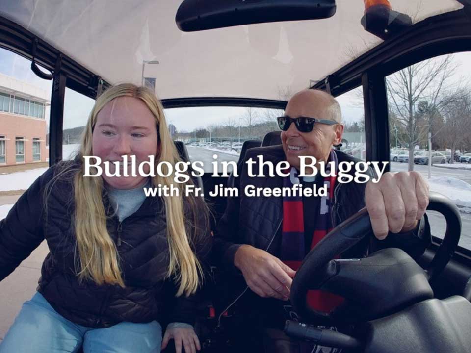 bulldogs in the buggy