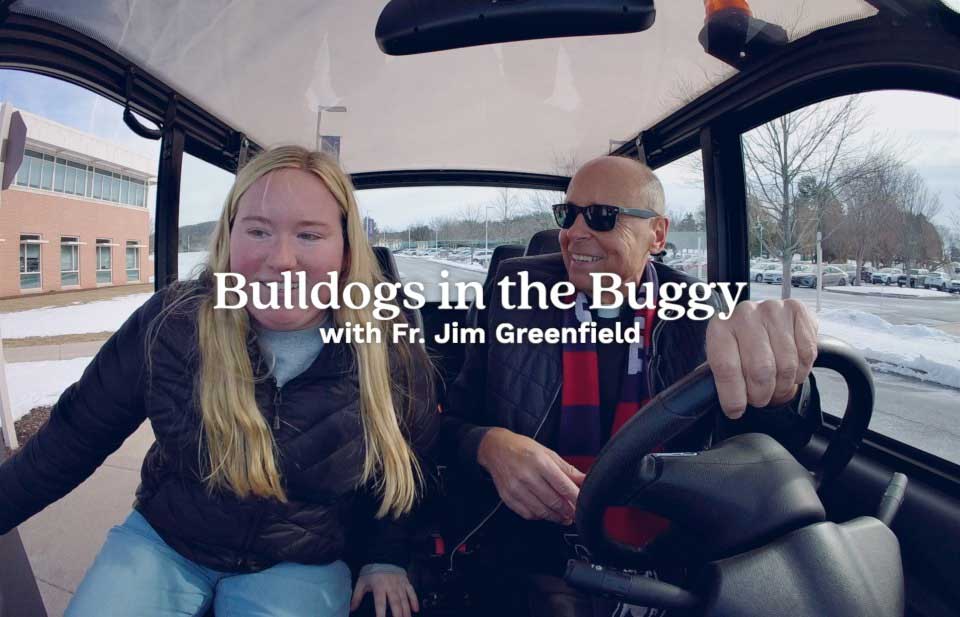 bulldogs in the buggy
