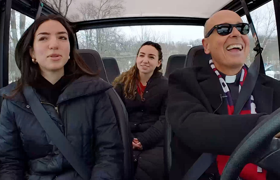 bulldogs in the buggy